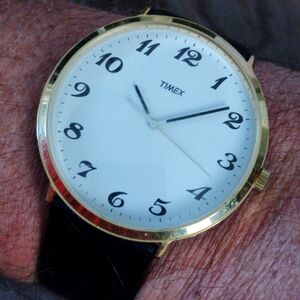 Timex Statement Watch